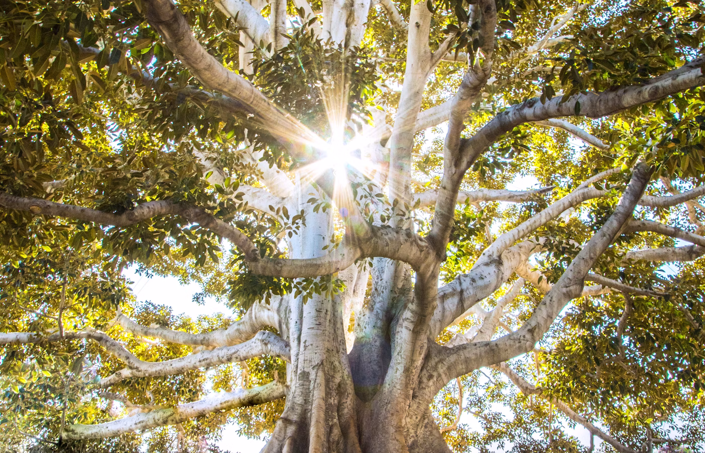 Энергия для основателя